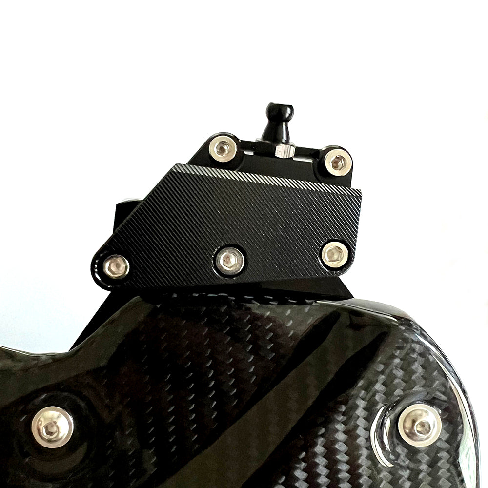 BMW S1000RR S1000R M1000R M1000RR S1000XR | Carbon Fiber Front Brake Disc Protector Cover